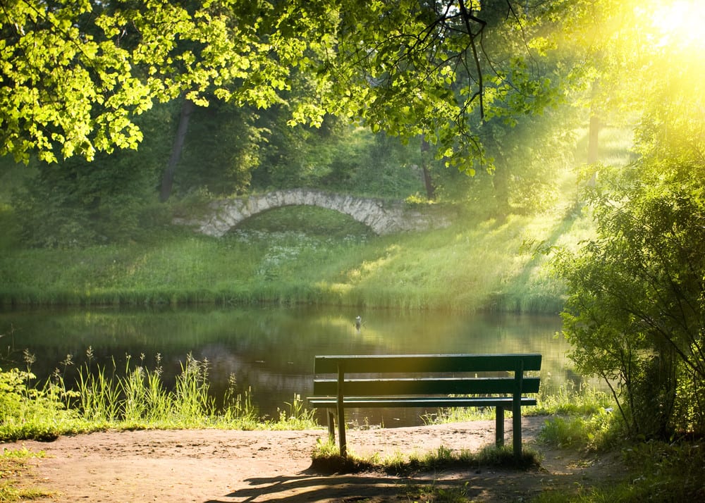 Bench on the bank of the river in summer day with evening sunlight