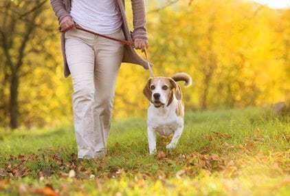 Pet Friendly Assisted Living Facilities