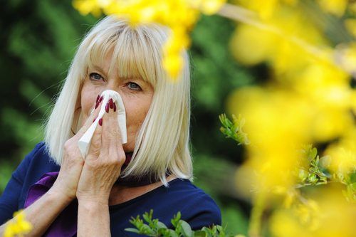 Senior woman blowing her nose outdoors by yellow flowers