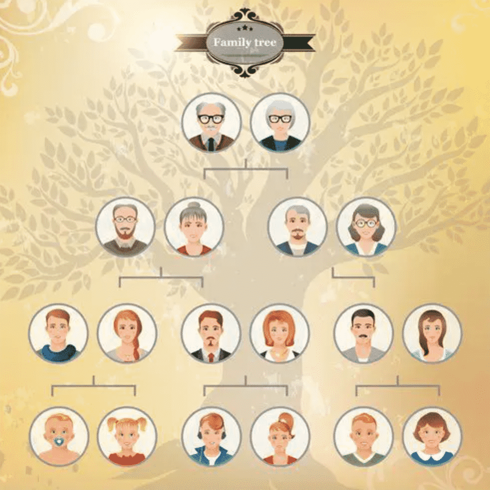 A graphic of a family tree with four generations