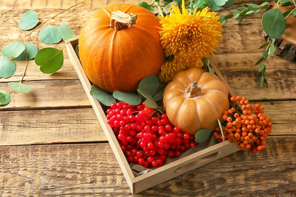 Two-pumpkins-currants-flowers-in-wooden-tray-on-wooden-table