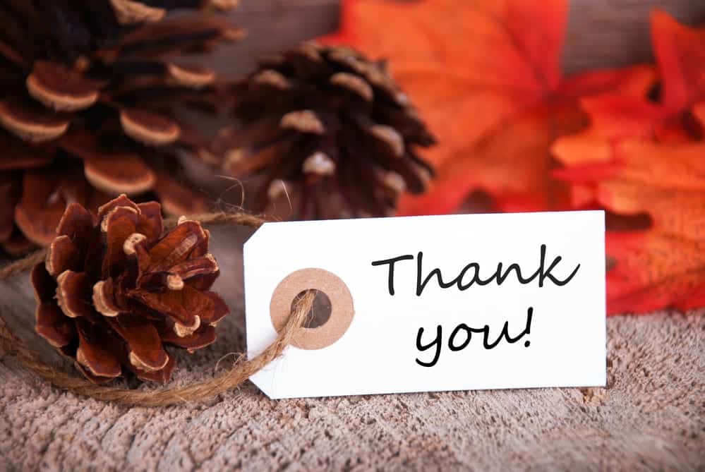 thank-you-tag-in-front-of-fall-leaves-and-pinecones (1)
